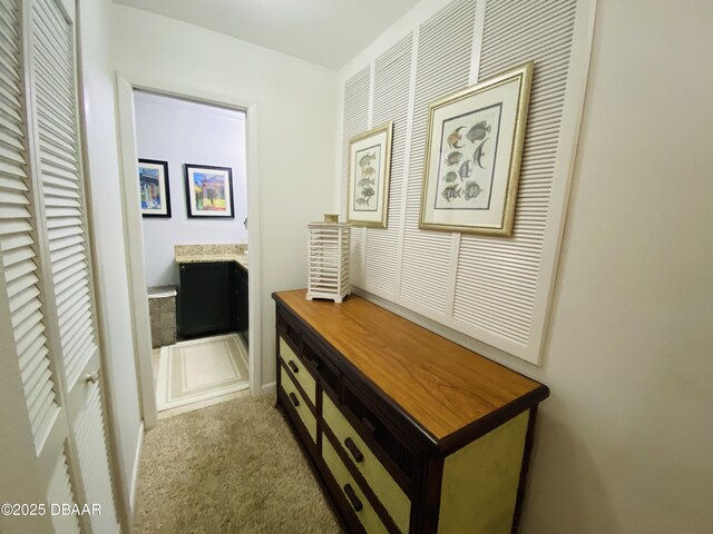 4285 Sea Mist Dr, New Smyrna Beach, FL 32169 - photo 21