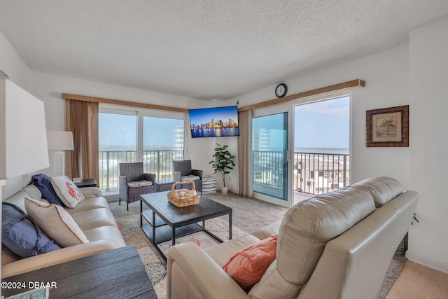 living room with light wood-type flooring, plenty of natural light, and a water view