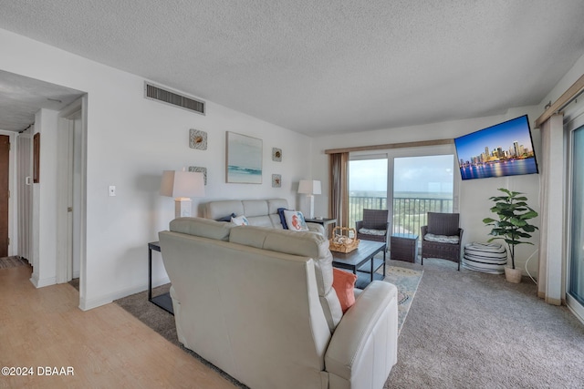 living room featuring hardwood / wood-style flooring and a textured ceiling