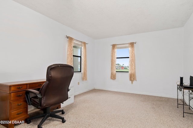 view of carpeted home office