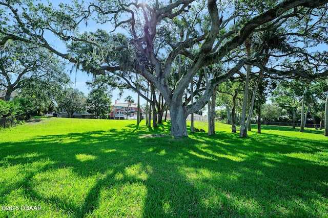 27 N Halifax Ave, Daytona Beach, FL 32118 - photo 3