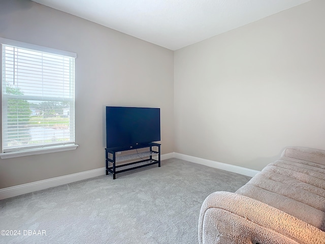 sitting room with carpet