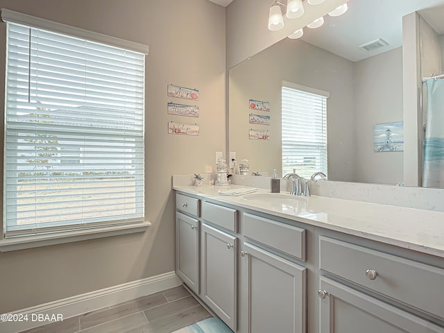 bathroom featuring vanity, wood-type flooring, and a healthy amount of sunlight