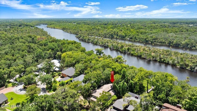 26 Twelve Oaks Trl, Ormond Beach, FL 32174 - photo 56