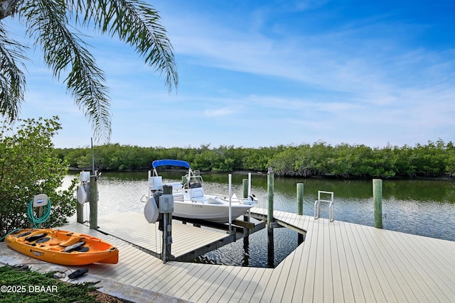 view of dock with a water view