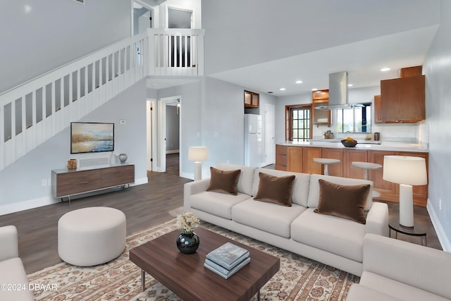 living room with a high ceiling and dark hardwood / wood-style flooring