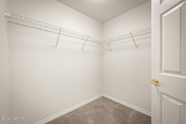 walk in closet with carpet