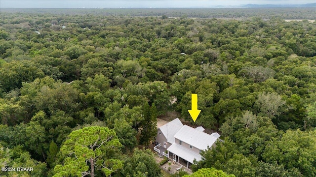 5711 John Anderson Hwy, Flagler Beach, FL 32136 - view from above of property with a heavily wooded area