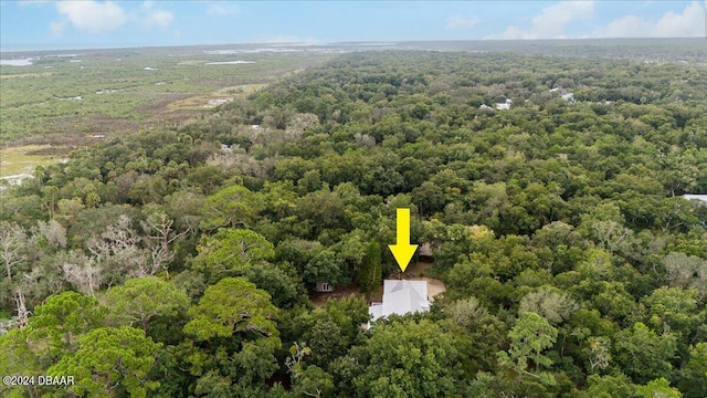 5711 John Anderson Hwy, Flagler Beach, FL 32136 - aerial view of a forest