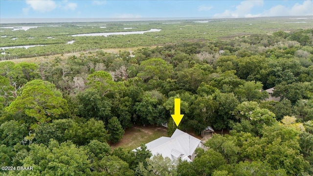 5711 John Anderson Hwy, Flagler Beach, FL 32136 - aerial overview of property's location with a forest and a nearby body of water