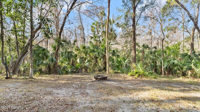 view of yard with an outdoor fire pit