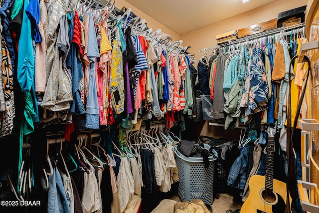 894 Quarters Ct, Port Orange, FL 32129 - view of spacious closet