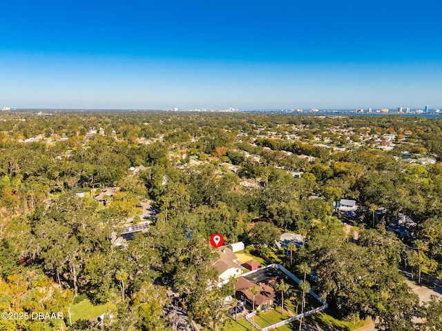 894 Quarters Ct, Port Orange, FL 32129 - aerial view of a forest