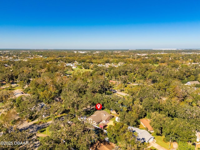 894 Quarters Ct, Port Orange, FL 32129 - aerial view of property and surrounding area featuring a forest
