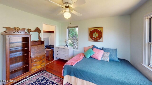 425 Wisteria Rd, Daytona Beach, FL 32118 - photo 17