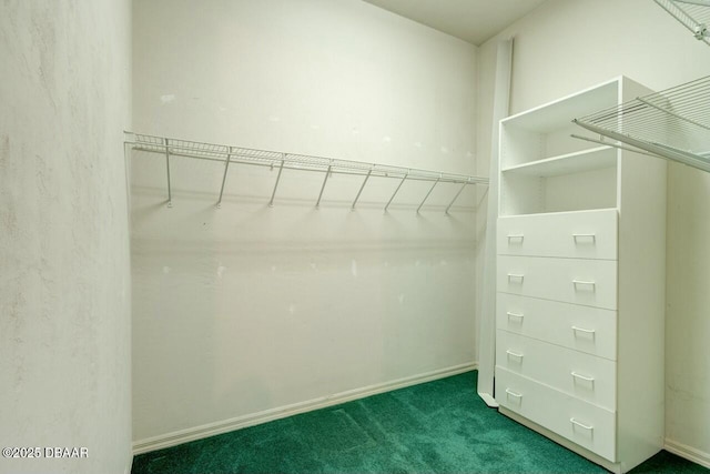 spacious closet with carpet flooring