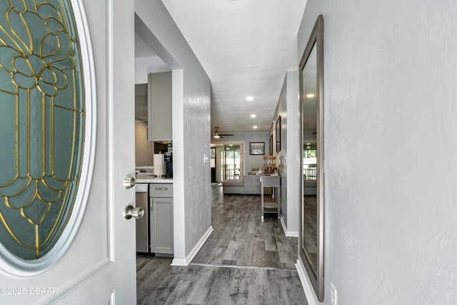 foyer featuring dark hardwood / wood-style flooring and a textured ceiling