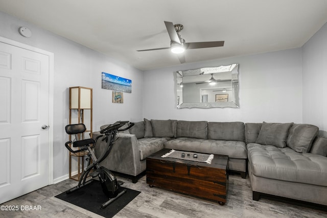 living room with ceiling fan and wood-type flooring