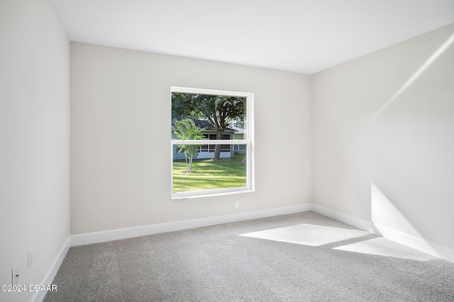 spare room with carpet floors