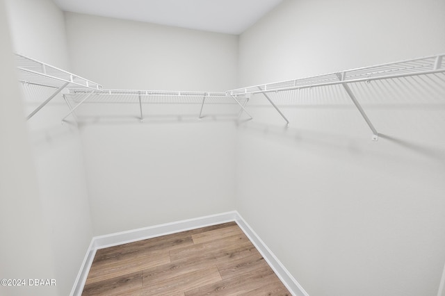 walk in closet with wood-type flooring