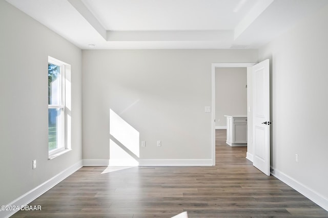 empty room with dark wood-type flooring, a healthy amount of sunlight, and a raised ceiling