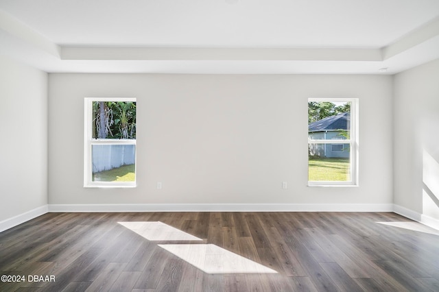 empty room with dark wood-type flooring and a tray ceiling