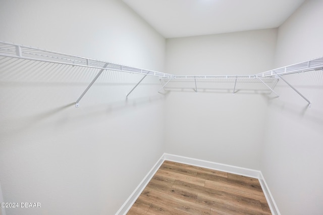 spacious closet featuring hardwood / wood-style floors