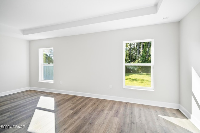 spare room featuring wood-type flooring and a raised ceiling