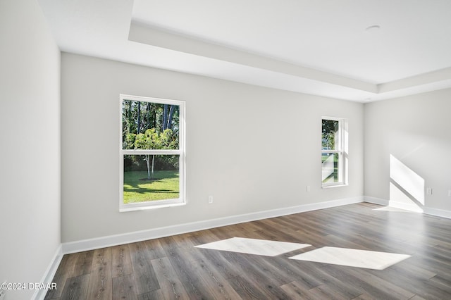 unfurnished room with wood-type flooring and a raised ceiling