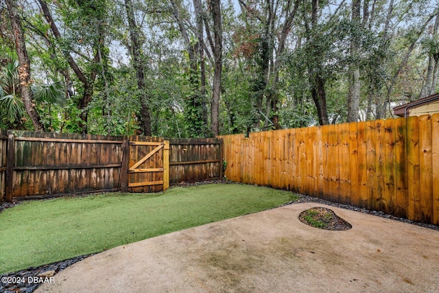 view of yard featuring a patio