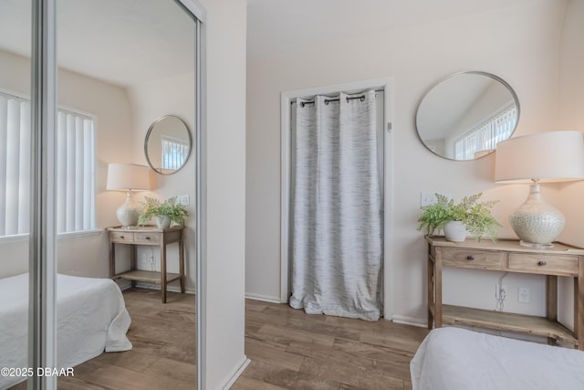 bedroom featuring wood-type flooring