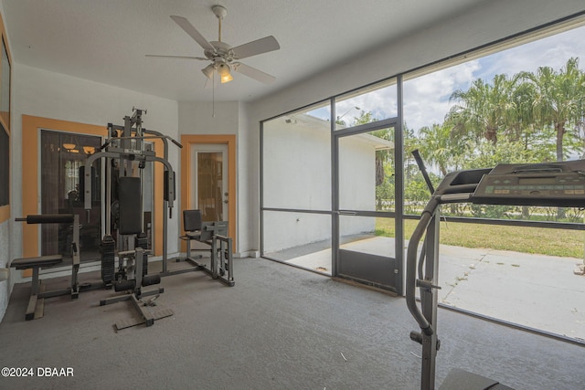 workout room featuring carpet flooring and ceiling fan