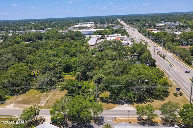 1610 Magnolia Ave, South Daytona, FL 32119 - photo 4