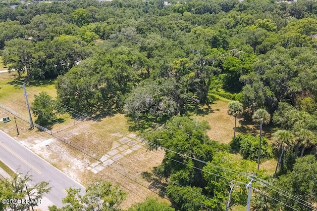 1610 Magnolia Ave, South Daytona, FL 32119 - photo 2