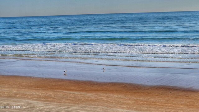 property view of water featuring a view of the beach