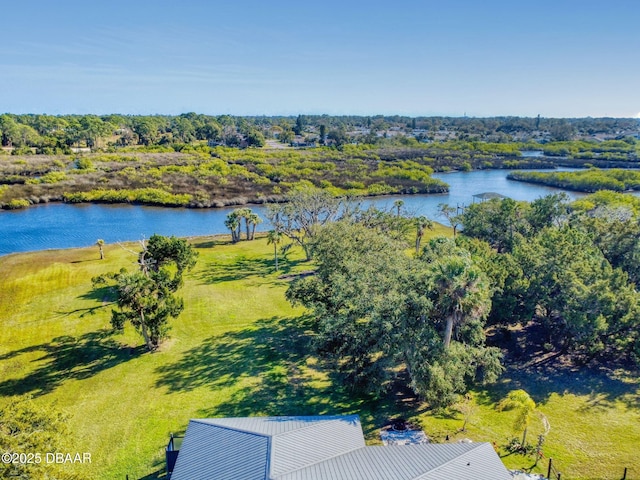 bird's eye view with a water view