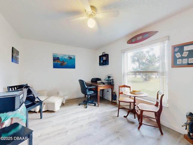 office with ceiling fan, light wood-type flooring, and a textured ceiling