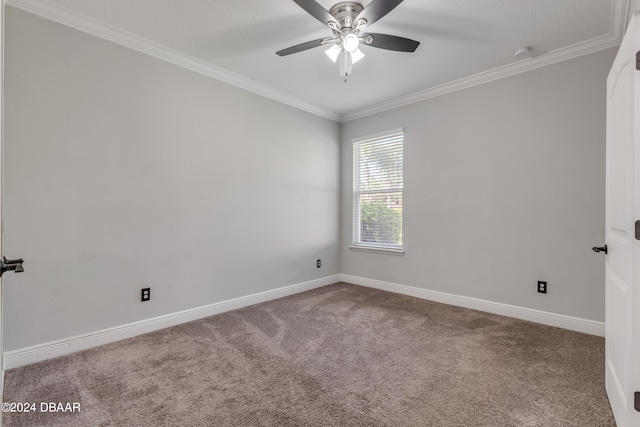 carpeted spare room featuring ceiling fan and crown molding