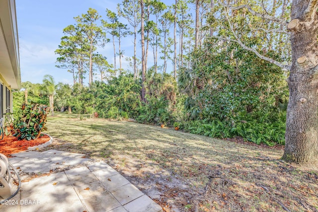 2853 Turnbull Estates Dr, New Smyrna Beach, FL 32168 - view of yard