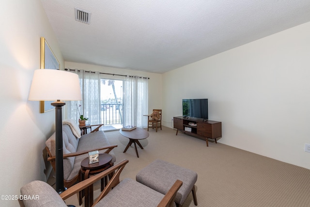 living room featuring carpet flooring and a textured ceiling