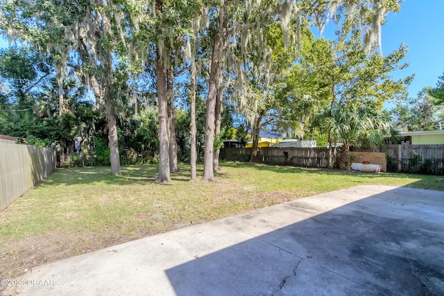 view of yard with a patio area