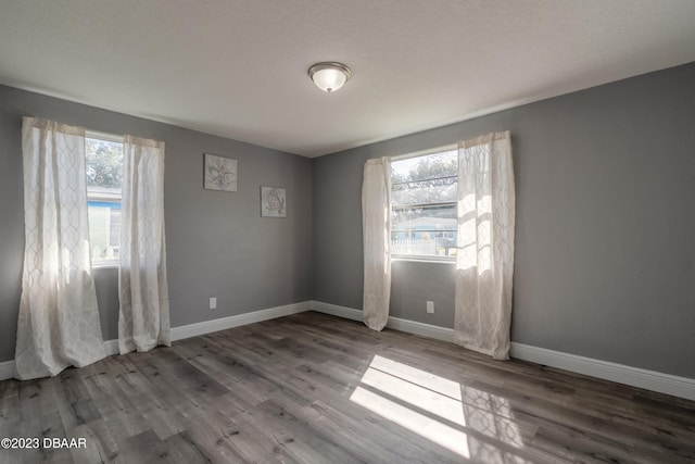 empty room with a wealth of natural light and wood-type flooring