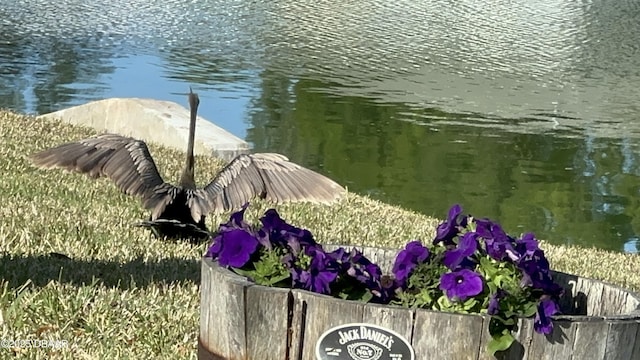 view of water feature