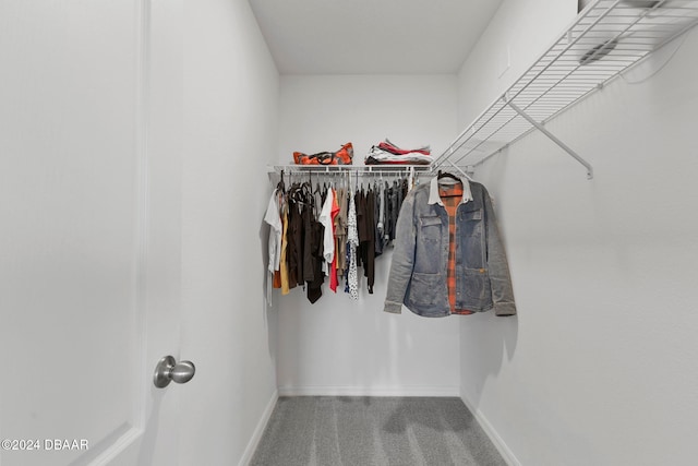 spacious closet with carpet flooring