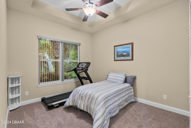 carpeted bedroom featuring a tray ceiling and ceiling fan