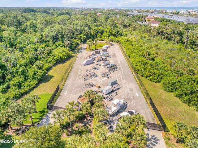 100 Emerald Lake Dr, Palm Coast, FL 32137 - drone / aerial view of a forest
