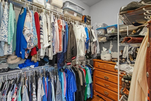 view of walk in closet