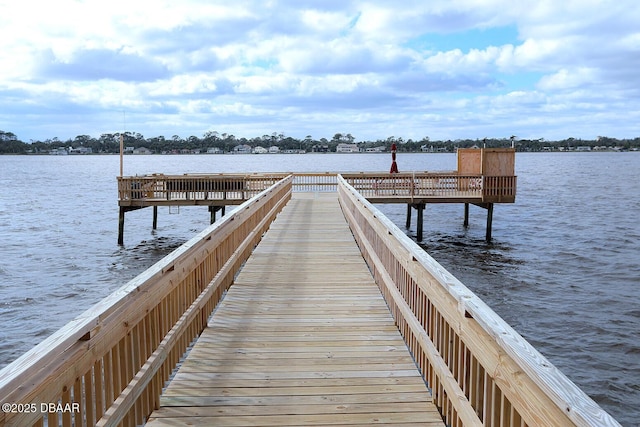 dock area with a water view