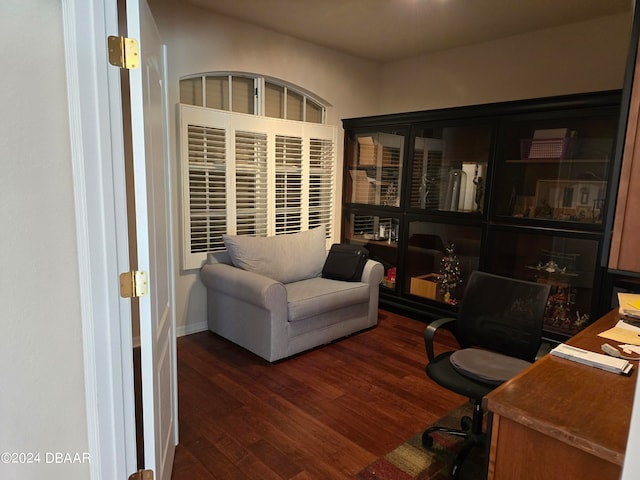 office featuring dark hardwood / wood-style floors