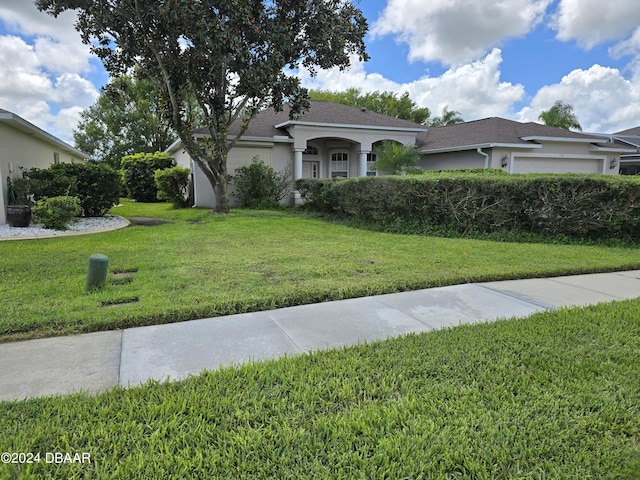 ranch-style house with a front yard